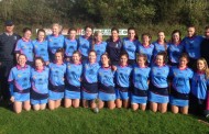 Nenagh Éire Óg crowned county Camogie champions