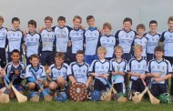 Nenagh Éire Óg Weekly Notes
