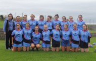 Nenagh Éire Óg Weekly Notes