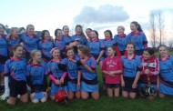 Nenagh Éire Óg Weekly Notes
