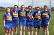 Nenagh Éire Óg Weekly Notes