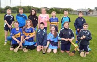 Nenagh Éire Óg Weekly Notes