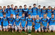 Nenagh Éire Óg Weekly Notes