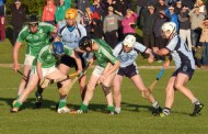 Nenagh Éire Óg Weekly Notes